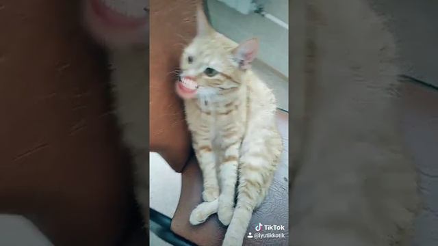 Я росла и расцветала смотреть онлайн