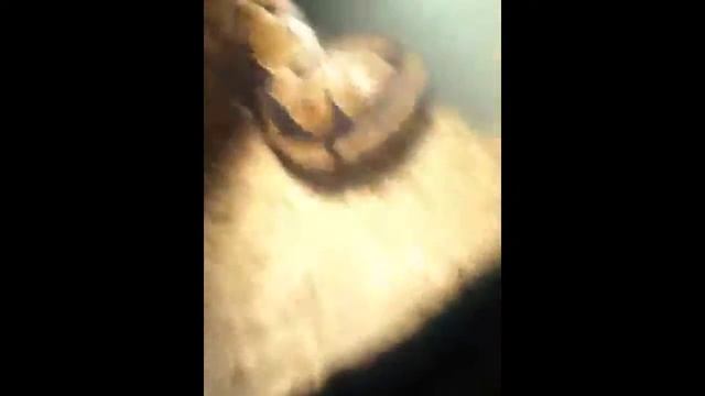 Sep 3, 2013 смотреть онлайн