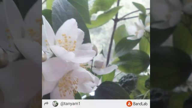 Дорога Дальняя Музыка которая рвет душу смотреть онлайн