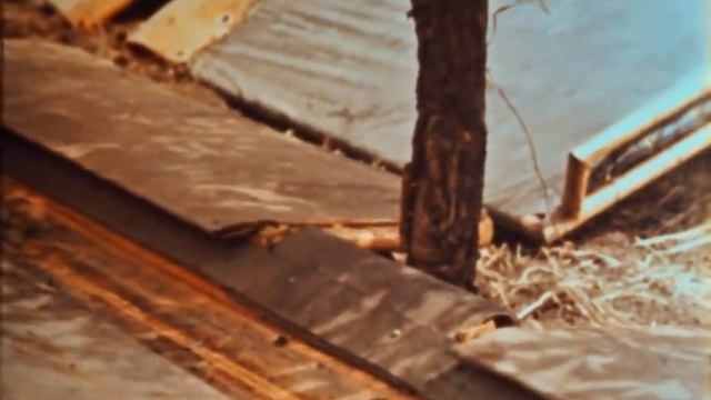 Машина для сбора вишни ВУМ-15, 1977. смотреть онлайн