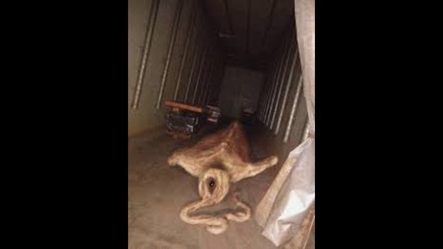 Монстры Тревора Хендерсона 10 Часть