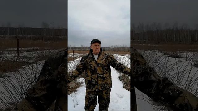 Питомник ягодных растений смотреть онлайн