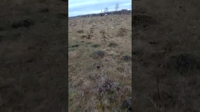 Сложно ли заниматься фермерством?История с начала смотреть онлайн