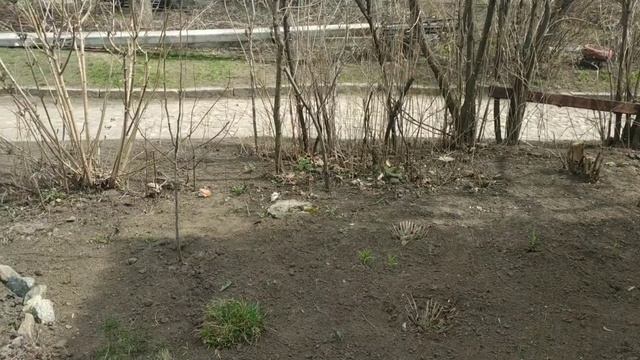 Бензокоса Нарва CG 5600 смотреть онлайн