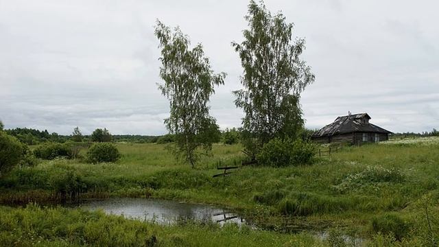 Тихая моя Родина вариант смотреть онлайн