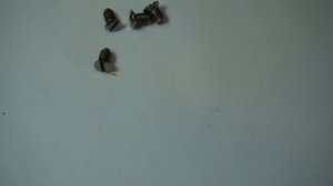 Швейная машина Tikka - качество в мелочах