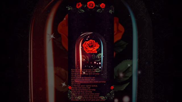 роза Kalifarniya, Калифарния Роза на гитаре