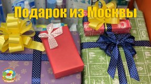 #83 Переезд на юг. Получили подарок из Москвы. Сделали канализацию.