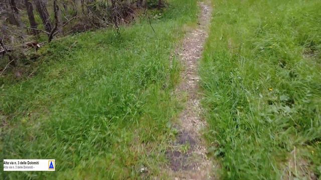 4K LAGO DI MISURINA - PASSO TRE CROCI - RIFUGIO MIETRES - CORTINA D'AMPEZZO 07-07-2022 смотреть онлайн