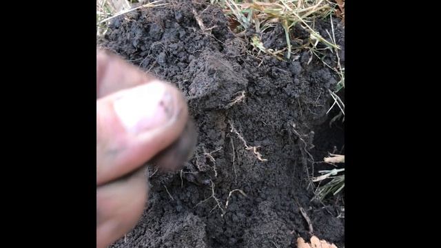 Simplex➕ in the street strip! смотреть онлайн
