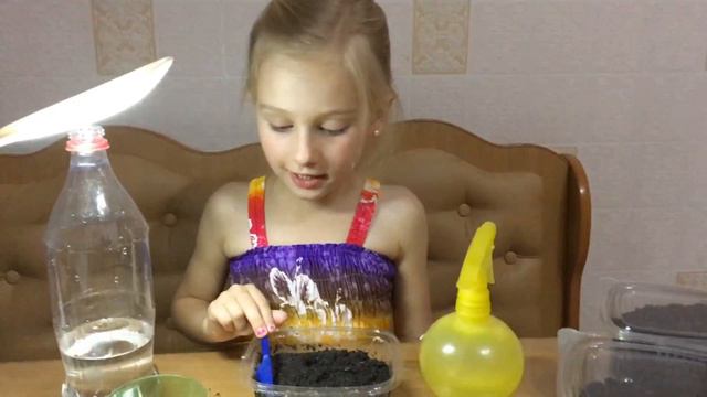 Посев петунии смотреть онлайн