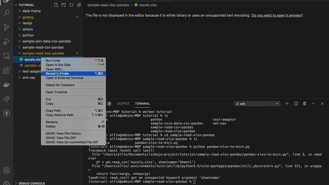 Cara Mudah Mengolah Data Excel dengan Python смотреть онлайн