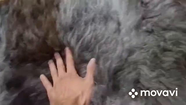 КОВРИК ПЕПЕЛЬНО-КОРИЧНЕВЫЙ (КОД: 4423) смотреть онлайн