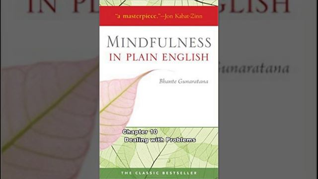 Mindfulness in Plain English CHP 09 10 смотреть онлайн