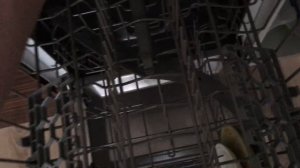 Обзор на посудомоечную машину Zigmund & Shtain