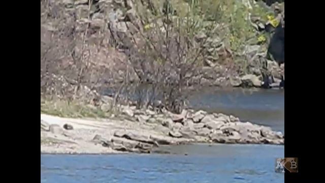 Днепр Запорожье Байда смотреть онлайн