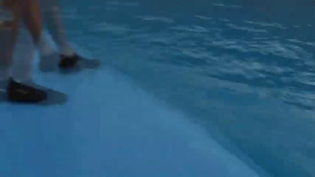 Незабываемые моменты, 09.04.2014г Хургада... Дельфины!!!