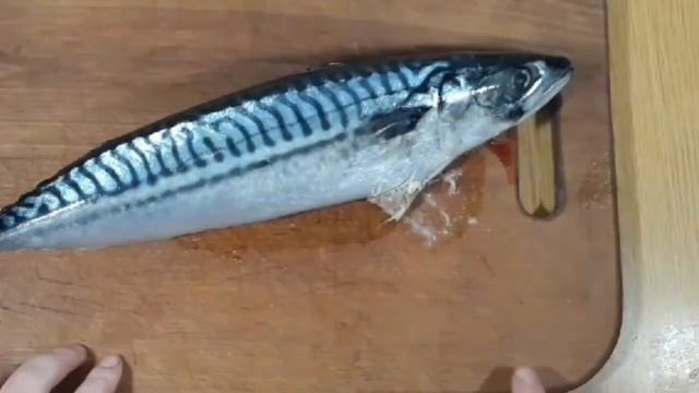 Салаты с Мускатным Орехом