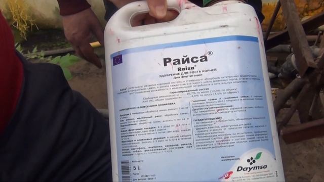 Рост корня.Стимуляторы ЭНРАЙВЕЛЛ и РАЙСА смотреть онлайн