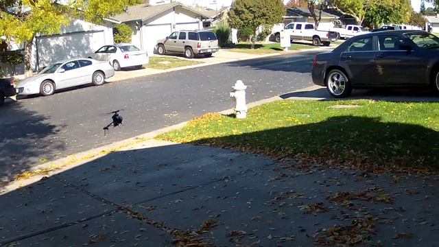 HORIZON HOBBY BLADE 180 CFX MAIDEN & QUICK TIP'S