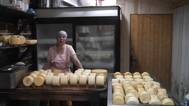 ЕЩЕ ОДНА КОРОВА ЭТО ПЕРЕБОР????