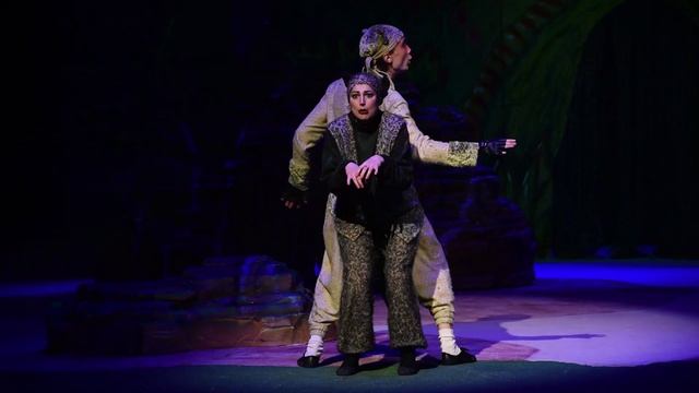 "Рикки-Тикки-Тави". Режиссер - Наталья Шибалова смотреть онлайн