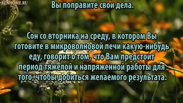 К чему снится Микроволновая печь сонник, толкование сна смотреть онлайн