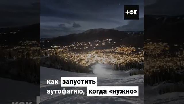 Голодание -омолаживает организм? смотреть онлайн