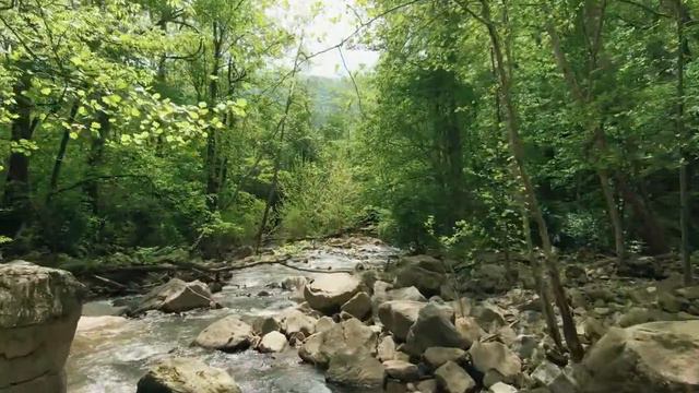 ANNIE'S SONG (Special Guest Singer) - CHRISTINE (Kris) HOUGHTON #cover #countrymusic смотреть онлайн