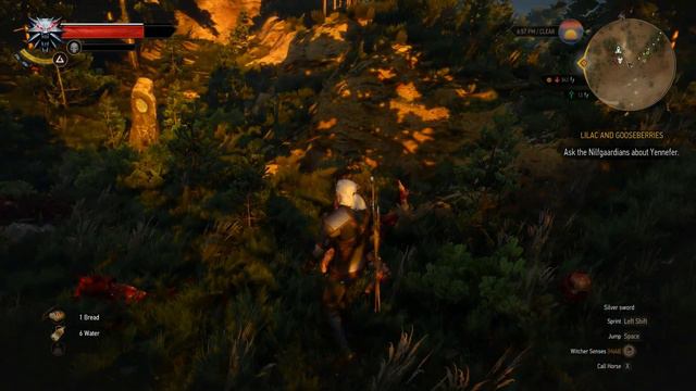 The Witcher 3 - S1E3 - Willis The Smith