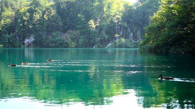 Plitvice lakes | National Park Croatia | Plitvička jezera смотреть онлайн