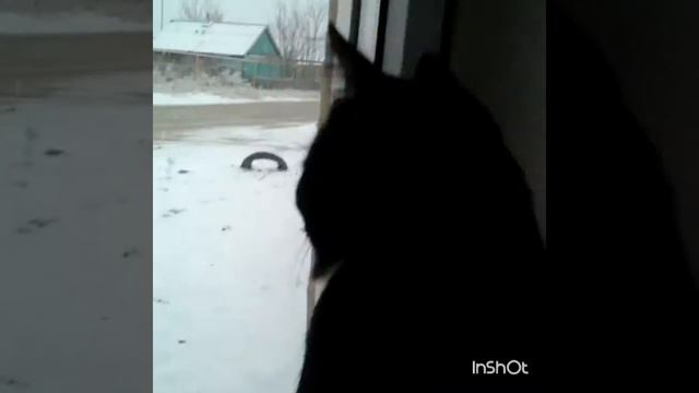 Ура у нас пошёл снег❄⛄🎄 смотреть онлайн