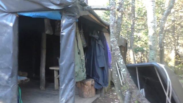 Осенний день на реке Казырь смотреть онлайн