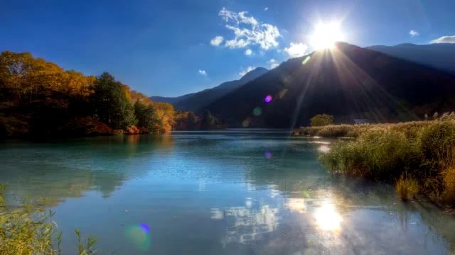 Философия Аристотеля The philosophy of Aristotle смотреть онлайн