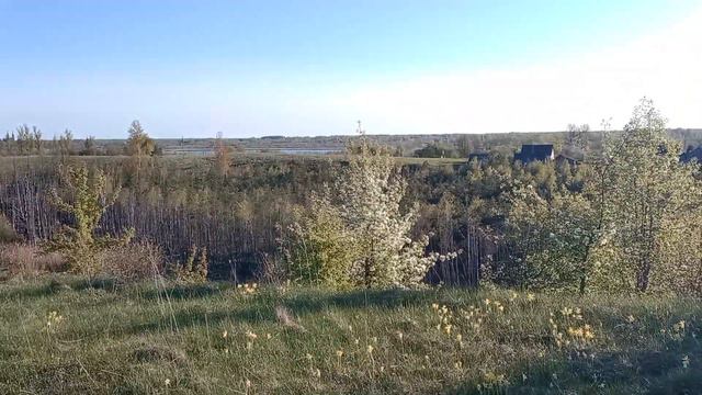 Беларуская деревня на границе.Браславщина.Видзы.Поход с Никой на высокую гору , случайные красоты смотреть онлайн