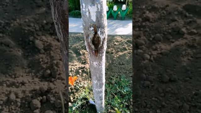 Стройка В Теме