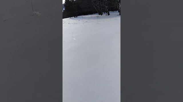 VID 20190116 153031 смотреть онлайн