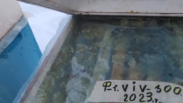 26 января 2024 г. смотреть онлайн
