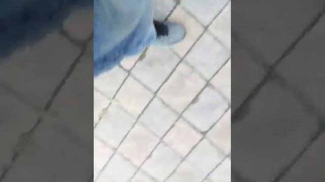 Самокатные будни.vlog.#2 Пацаны хулиганы разбивают окна. смотреть онлайн