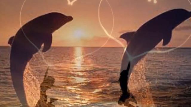 Только мой поздравление мужу 6 лет со дня свадьбы смотреть онлайн