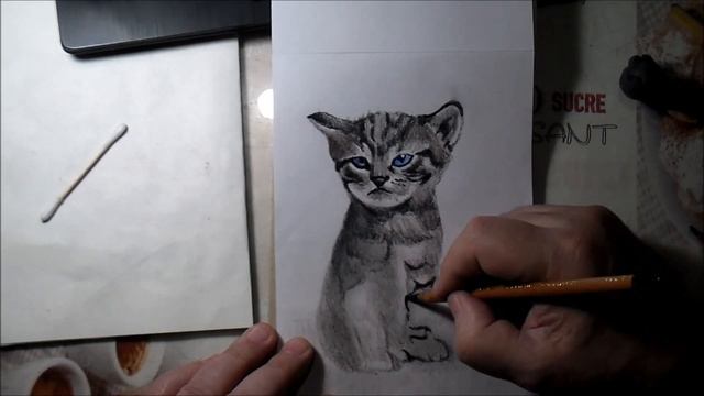 Как нарисовать кота карандашом/ Как нарисовать кошку смотреть онлайн