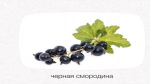 Фрукты Ягоды Развивающее видео для детей