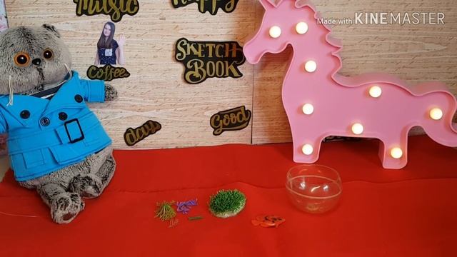 АКВАРИУМ ДЛЯ РЫБКИ БАСИКА| МК | Basik TV смотреть онлайн