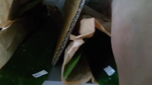 Поступление азиатских Орхидей #4/: 07.06.19 смотреть онлайн