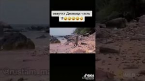 шимпанзе (озвучка джавида)