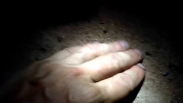 Очень необычный яйцеед - Prosymna meleagris смотреть онлайн