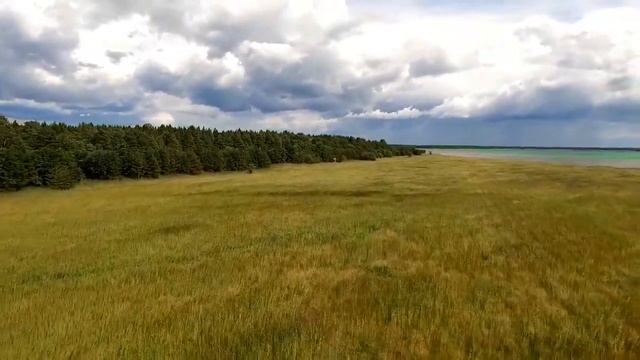 ЗНАМЕНИТАЯ БЛАГОДАРЯ НАКЛОНУ ПИЗАНСКАЯ БАШНЯ. смотреть онлайн