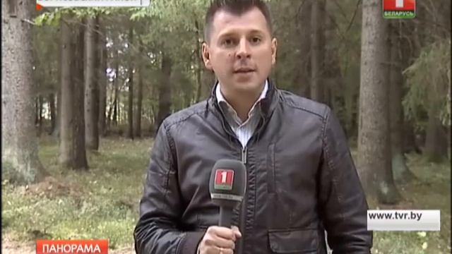 Ужи и гадюки смотреть онлайн