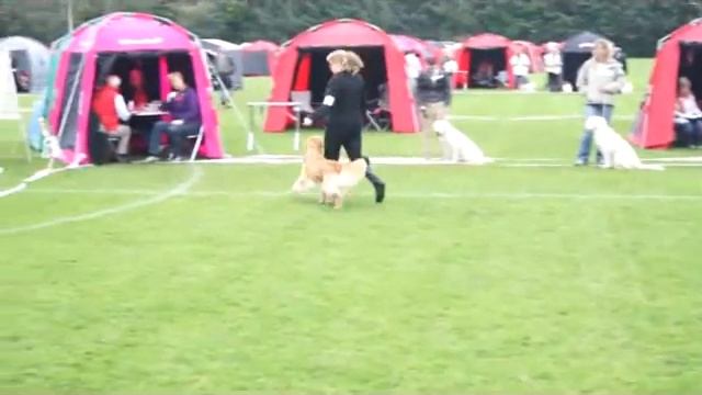 Int Show Bjerringbro 17-09-11 смотреть онлайн