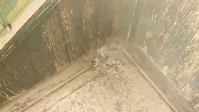 Проверка состава смотреть онлайн